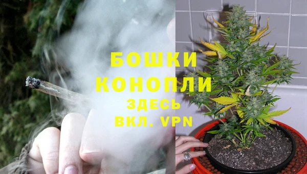 амф Белоозёрский